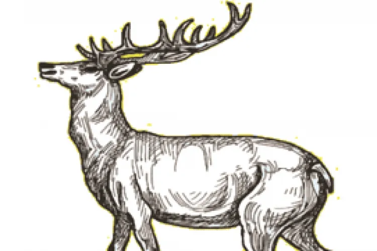 Wildbret-und-Ganslwochen
